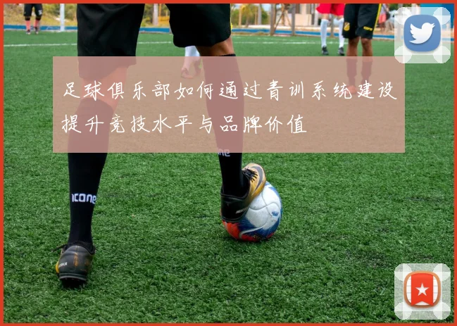 足球俱乐部如何通过青训系统建设提升竞技水平与品牌价值