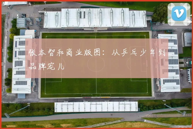 张本智和商业版图：从乒乓少年到品牌宠儿