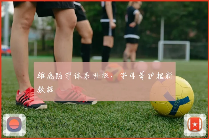 雄鹿防守体系升级，字母哥护框新数据