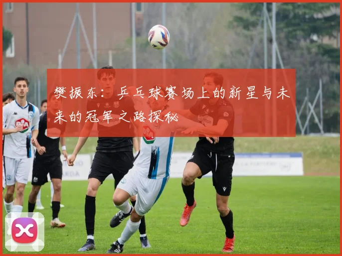樊振东：乒乓球赛场上的新星与未来的冠军之路探秘
