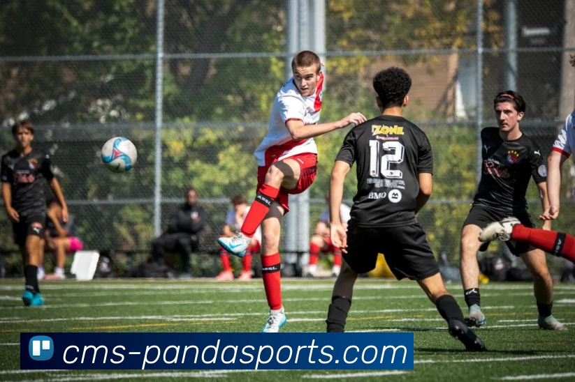 App Interface Preview